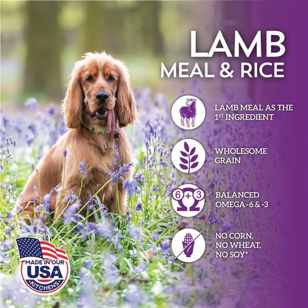 California Natural Lamb Meal & Rice Formula HealthBar Small Bars Dog Treats