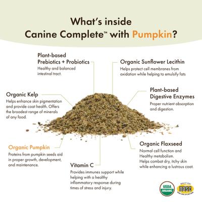 Show full view: Wholistic Pet Organics Organic Canine Complete Pumpkin Enhanced Powder Daily Multivitamin for Dogs, 4-lb pouch slide 6 of 11