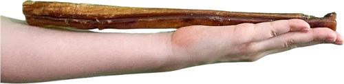 Show full view: Wholly Pup 11-inch American Jumbo Bully Stick Dog Treat slide 4 of 5