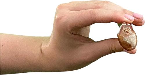 Show full view: Wholly Pup 12-inch Bully Sticks Dog Treat slide 5 of 5