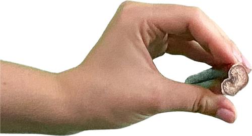 Show full view: Wholly Pup 12-inch Jumbo Bully Sticks Dog Treat slide 5 of 5