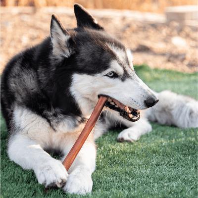 Show full view: Wholly Pup 12-inch Jumbo Bully Sticks Dog Treat slide 3 of 5