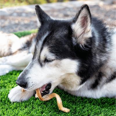 Show full view: Wholly Pup 5-7 inch Premium Spiral Bully Sticks Dog Treat slide 3 of 4
