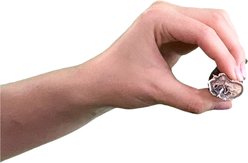 Wholly Pup 6-inch American Jumbo Bully Stick Dog Treat slide 2 of 4