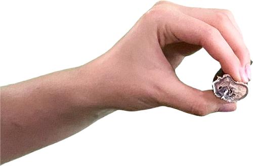 Show full view: Wholly Pup 6-inch American Jumbo Bully Stick Dog Treat slide 5 of 5