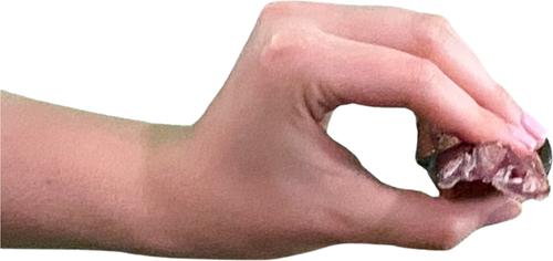 Show full view: Wholly Pup 6-inch Braided Bully Stick Dog Treat slide 5 of 5