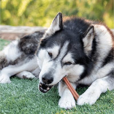 Show full view: Wholly Pup 6-inch Bully Stick Dog Treat slide 3 of 5