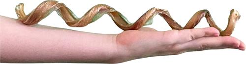 Show full view: Wholly Pup 9-12 inch Premium Spiral Bully Stick Dog Treat slide 4 of 4