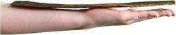 Wholly Pup Beef Gullet Jerky Strips 12-inch Dog Treats, 12 count slide 2 of 3