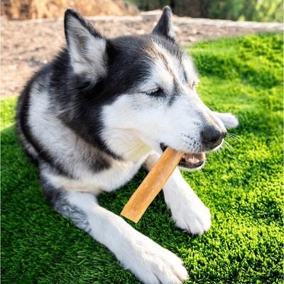 Show full view: Wholly Pup Himalayan Yak Cheese Chew Dog Treat, Large slide 3 of 6