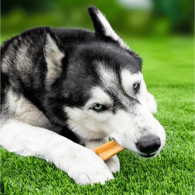 Show full view: Wholly Pup Himalayan Yak Cheese Chew Dog Treat, Medium slide 3 of 6