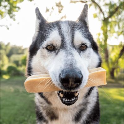 Show full view: Wholly Pup Himalayan Yak Cheese Chew Dog Treat, X-large slide 3 of 6