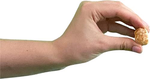 Show full view: Wholly Pup Himalayan Yak Cheese Puffs Dog Treats, 1-lb bag slide 5 of 5