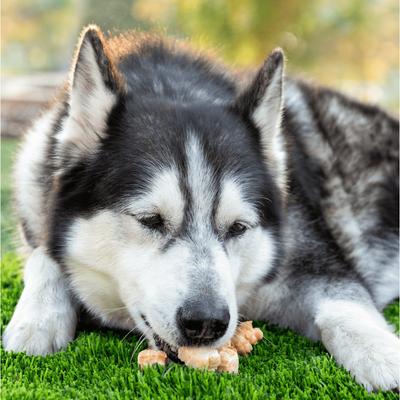 Show full view: Wholly Pup Himalayan Yak Cheese Puffs Dog Treats, 1-lb bag slide 3 of 5