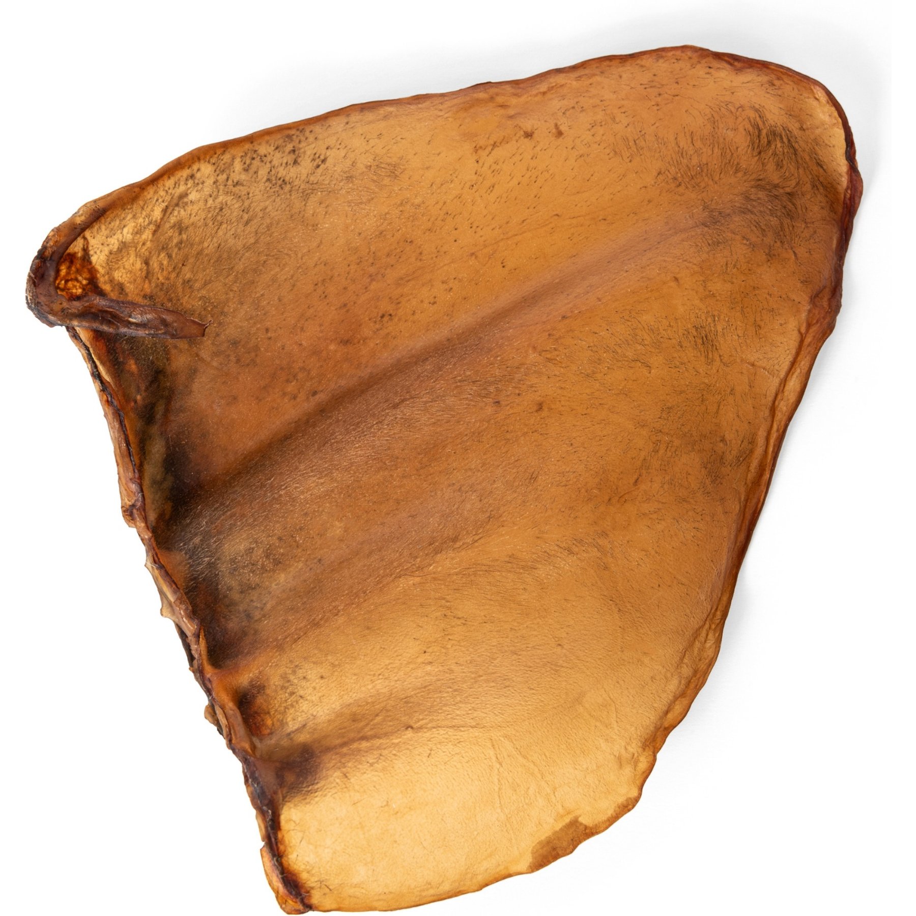 Wholly Pup Large Cow Ears Dog Treat