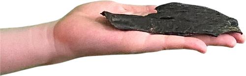 Show full view: Wholly Pup Smoked Beef Liver Dog Treats, 5-oz slide 4 of 4