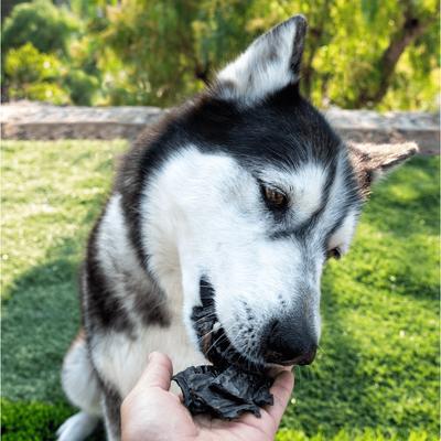 Show full view: Wholly Pup Smoked Beef Liver Dog Treats, 5-oz slide 3 of 4