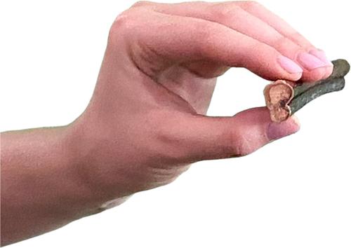 Show full view: Wholly Pup Smoked Bully Sticks 6-inch Dog Treats, 8 count slide 6 of 6