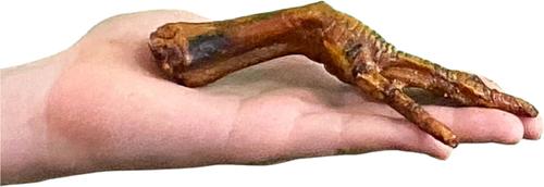 Show full view: Wholly Pup Smoked Chicken Feet Dog Treats, 10 count slide 5 of 6