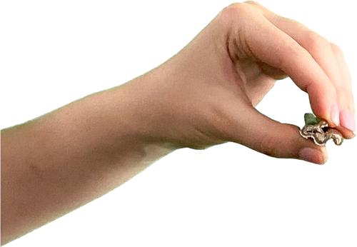 Show full view: Wholly Pup Smoked Collagen 6-inch Sticks Dog Treats, 3 count slide 6 of 6