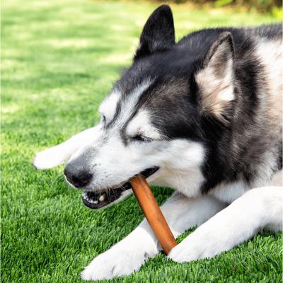 Show full view: Wholly Pup Smoked Collagen 6-inch Sticks Dog Treats, 3 count slide 3 of 6