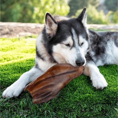 Show full view: Wholly Pup Smoked Cow Ears Dog Treats, 5 count slide 3 of 5