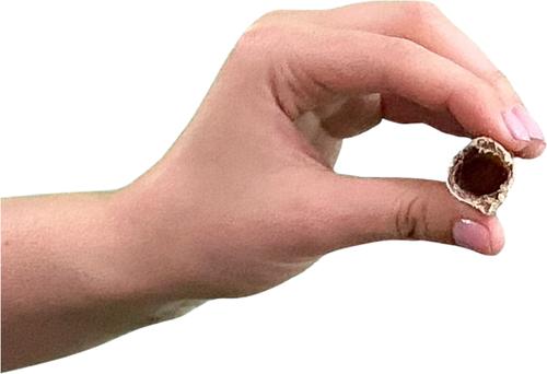 Show full view: Wholly Pup Smoked Gullet Sticks12-inch Dog Treats, 5 count slide 6 of 6