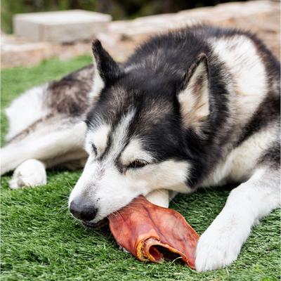 Show full view: Wholly Pup Smoked Pig Ears Dog Treat, 4 count slide 3 of 5