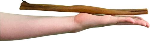 Show full view: Wholly Pup Smoked Super Bull Sticks 12-inch Dog Treat slide 4 of 5