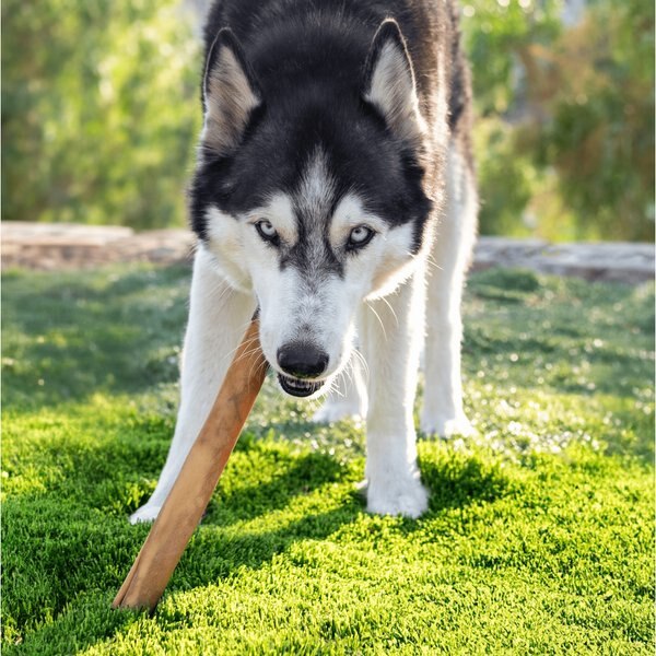 Wholly Pup Smoked Super Bull Sticks 12-inch Dog Treat