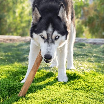 Show full view: Wholly Pup Smoked Super Bull Sticks 12-inch Dog Treat slide 3 of 5