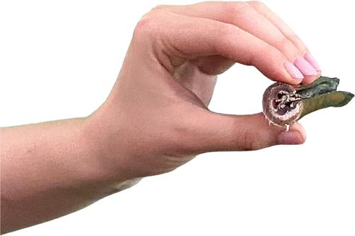 Show full view: Wholly Pup Smoked Super Bull Sticks 6-inch Dog Treats, 4 count slide 10 of 10