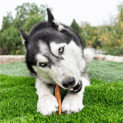 Show full view: Wholly Pup Smoked Super Bull Sticks 6-inch Dog Treats, 4 count slide 5 of 10