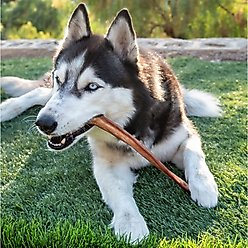 Wholly Pup Smoked Thin Bully Sticks 12-inch Dog Treats, 2 count slide 2 of 4