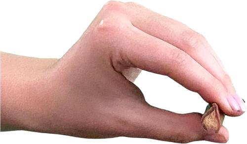 Show full view: Wholly Pup Smoked Thin Bully Sticks 12-inch Dog Treats, 2 count slide 5 of 6