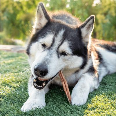 Show full view: Wholly Pup Smoked Thin Bully Sticks 6-inch Dog Treats, 2 count slide 3 of 5