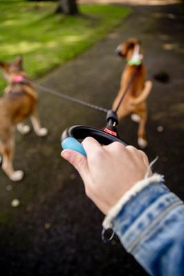 Show full view: Wigzi Dual Doggie Gel Rope Dog Leash, Medium/Large: 4.5-ft long slide 4 of 13