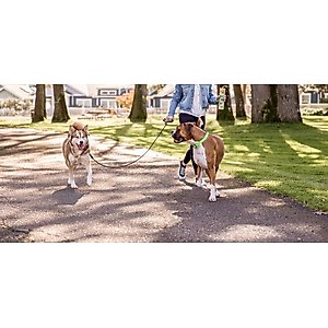 Wigzi Dual Doggie Gel Rope Dog Leash, Medium/Large: 4.5-ft long
