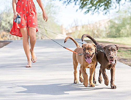 WIGZI Dual Doggie (2 DOG) intrekbare riem met licht (L.E.D), geen wirwar 360 -technologie, onafhankelijk remmen elke hond tot 50 lbs elke hond met 3 m reflecterende lijnen voor veiligheid, zwarte en