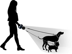 Wigzi LED Dual Retractable Dog Leash, Black, Small slide 2 of 7