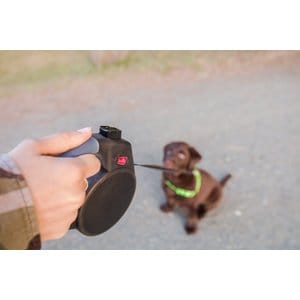 Wigzi Nylon Reflective Retractable Gel Dog Leash, Gray, Small: 13-ft long