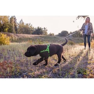 Wigzi Nylon Reflective Retractable Gel Dog Leash, Gray, Small: 13-ft long