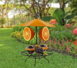 Wild Bird Lovers Oriole Patio Table with Umbrella Jelly Wild Bird Feeder slide 2 of 2
