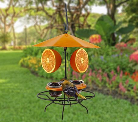 Show full view: Wild Bird Lovers Oriole Patio Table with Umbrella Jelly Wild Bird Feeder slide 2 of 2