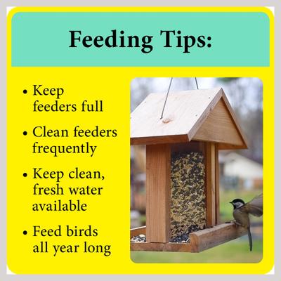 Show full view: Wild Delight Better Blend Songbird Wild Bird Food, 17-lb bag slide 8 of 10