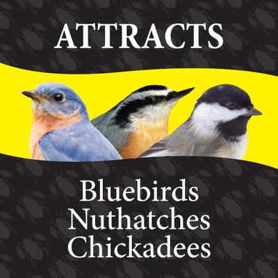 Show full view: Wild Delight Bugs for Birds Wild Bird Food, 16-oz bag slide 4 of 8