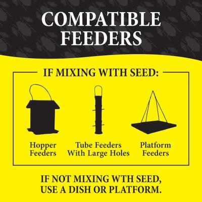 Show full view: Wild Delight Bugs for Birds Wild Bird Food, 16-oz bag slide 8 of 8