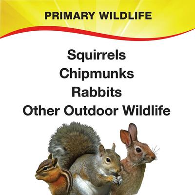 Show full view: Wild Delight Crunch N' Nut Wild Squirrel Food, 20-lb bag slide 4 of 9