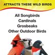 Show in main carousel: Wild Delight Deck, Porch N' Patio Wild Bird Food, 20-lb bag slide 4 of 10