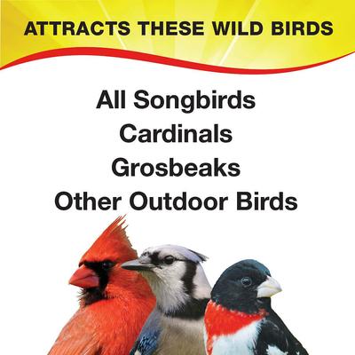 Show full view: Wild Delight Deck, Porch N' Patio Wild Bird Food, 20-lb bag slide 4 of 10
